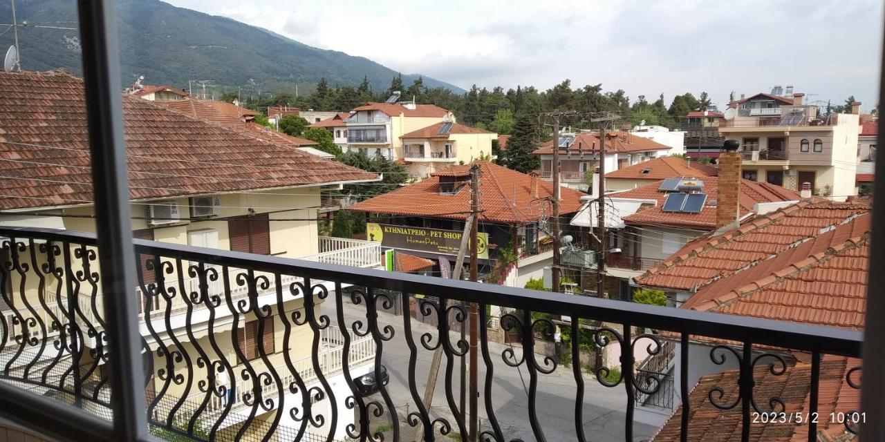Toula Apartment Litochoro Exterior photo